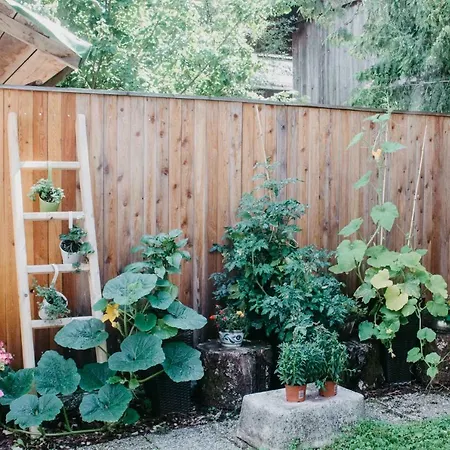 ゲストハウス Leprich