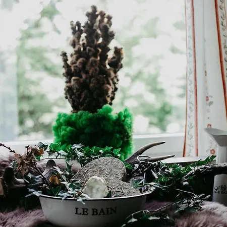 莱普里奇膳食公寓 2* 巴德哥依斯恩