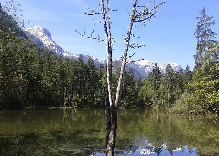 Affittacamere Leprich 2*