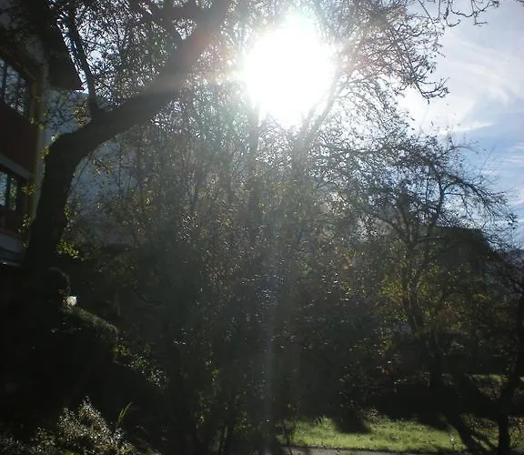 Leprich 2* باد غويسرن