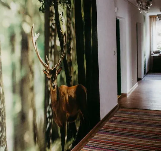 Guest house Leprich 2*