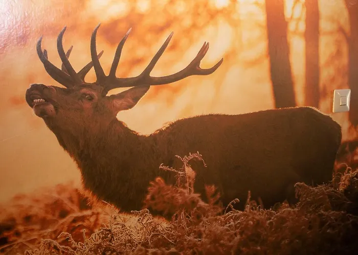 Leprich 2* Bad Goisern